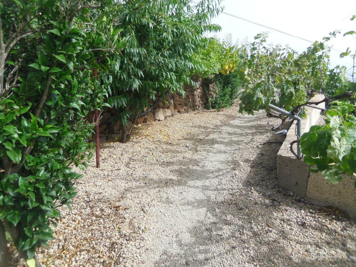 Finca Wawa Tenerife Guía de Isora Esterno foto